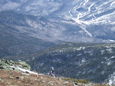 Some Bare 
Ground